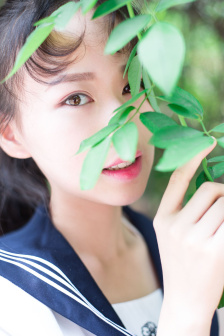 《金花瓶》完整版